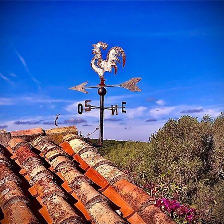 Spartaco Eco Retreat San Pantaleo Sole Ruiu Zewnętrze zdjęcie