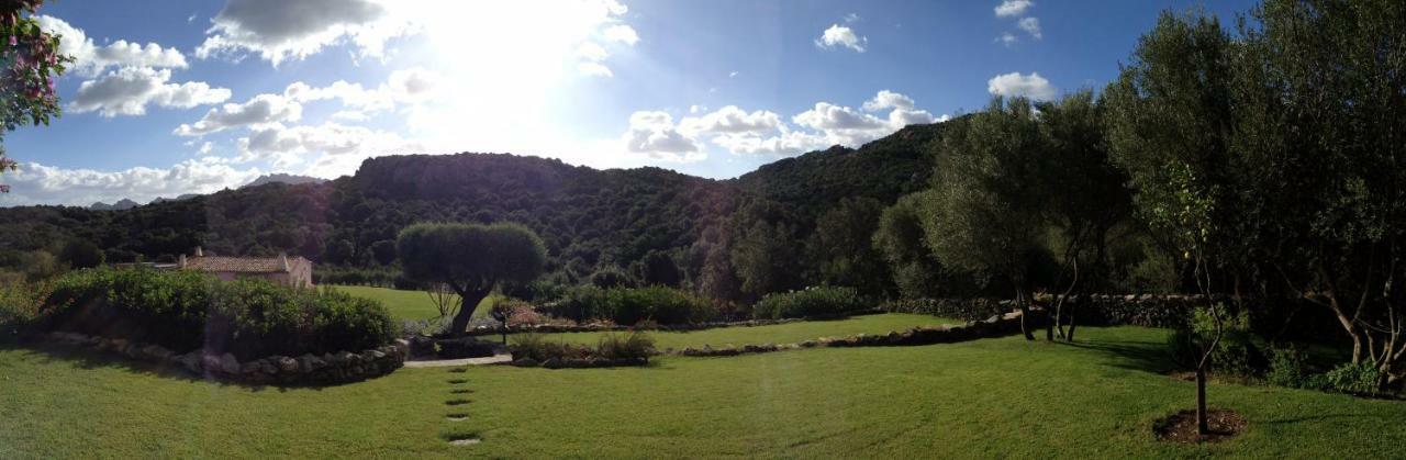 Spartaco Eco Retreat San Pantaleo Sole Ruiu Zewnętrze zdjęcie