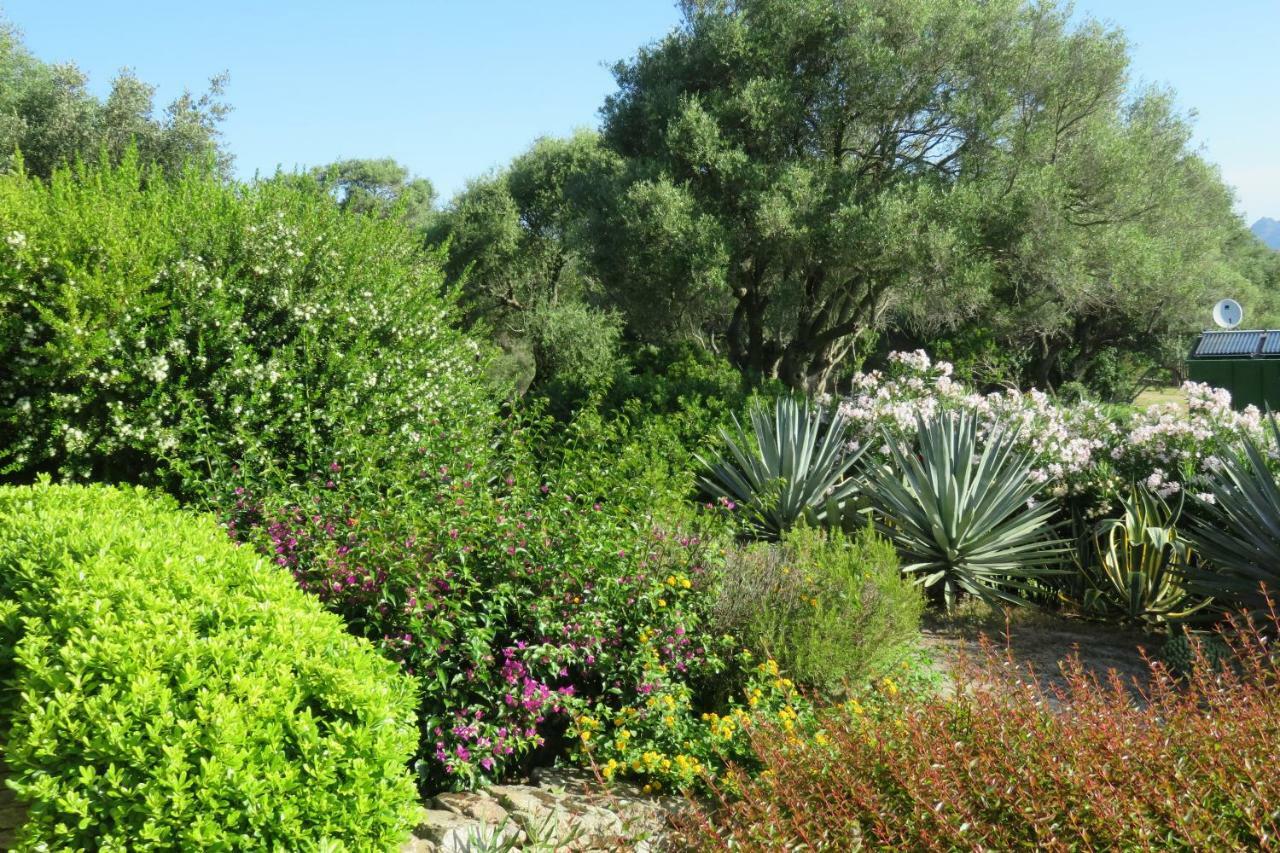 Spartaco Eco Retreat San Pantaleo Sole Ruiu Zewnętrze zdjęcie